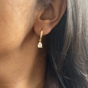 Drop Sparky Hoops